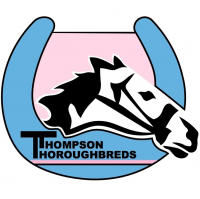 Thompson Thoroughbreds Australia